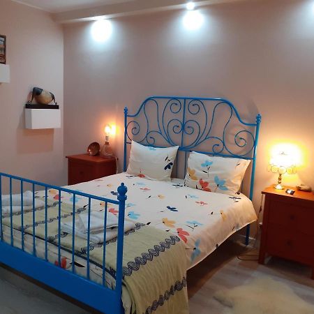 Skyline Central Apartment تيميشورا المظهر الخارجي الصورة