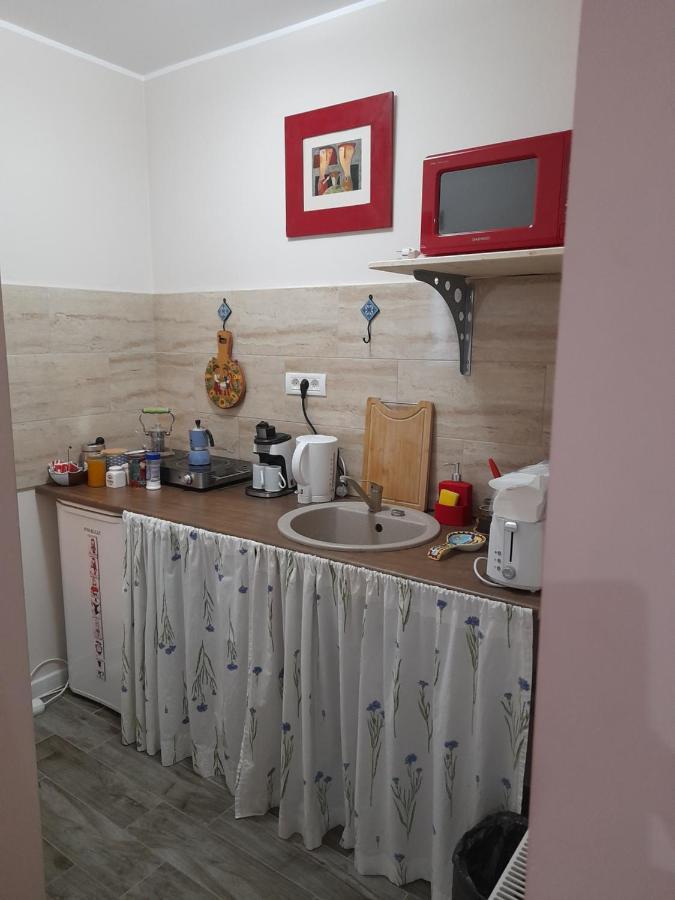 Skyline Central Apartment تيميشورا المظهر الخارجي الصورة