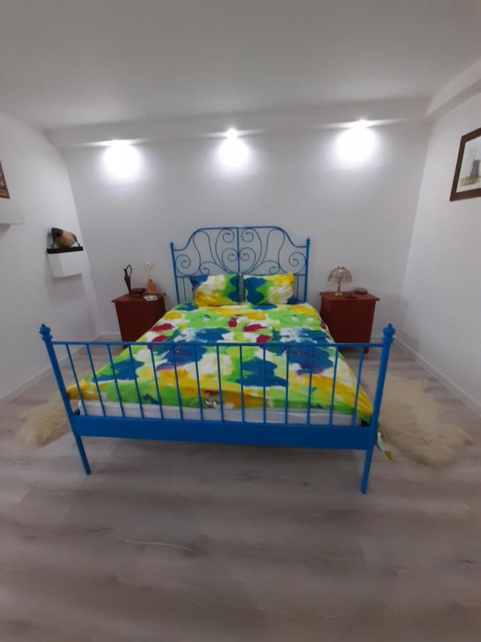Skyline Central Apartment تيميشورا المظهر الخارجي الصورة