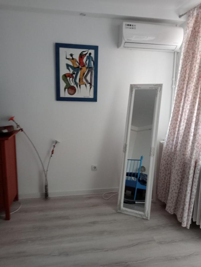 Skyline Central Apartment تيميشورا المظهر الخارجي الصورة