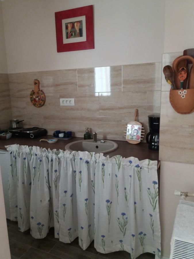 Skyline Central Apartment تيميشورا المظهر الخارجي الصورة