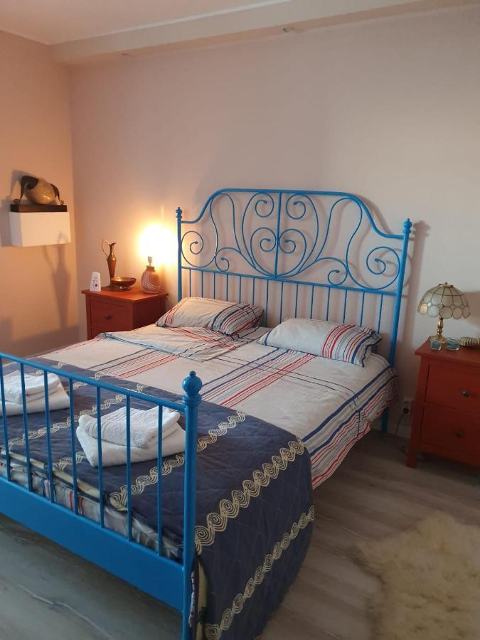 Skyline Central Apartment تيميشورا المظهر الخارجي الصورة