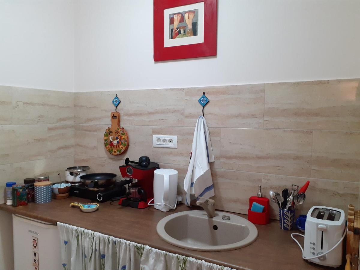 Skyline Central Apartment تيميشورا المظهر الخارجي الصورة