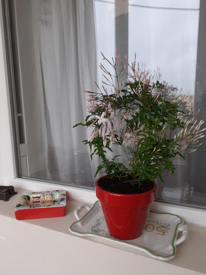 Skyline Central Apartment تيميشورا المظهر الخارجي الصورة